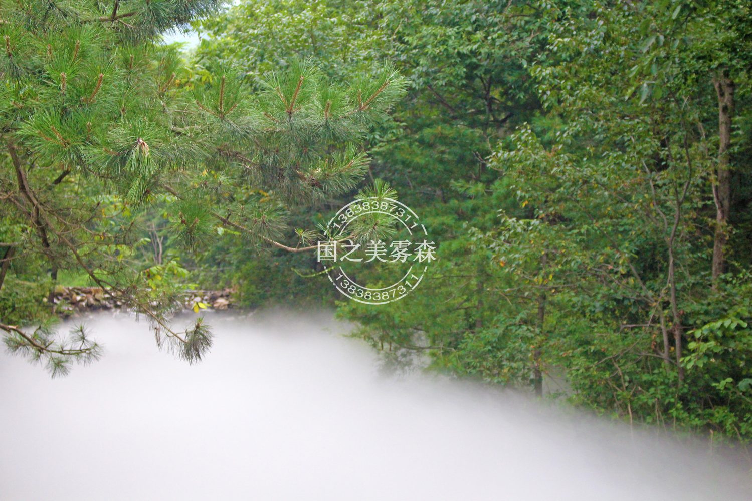 白云山（改9）.jpg