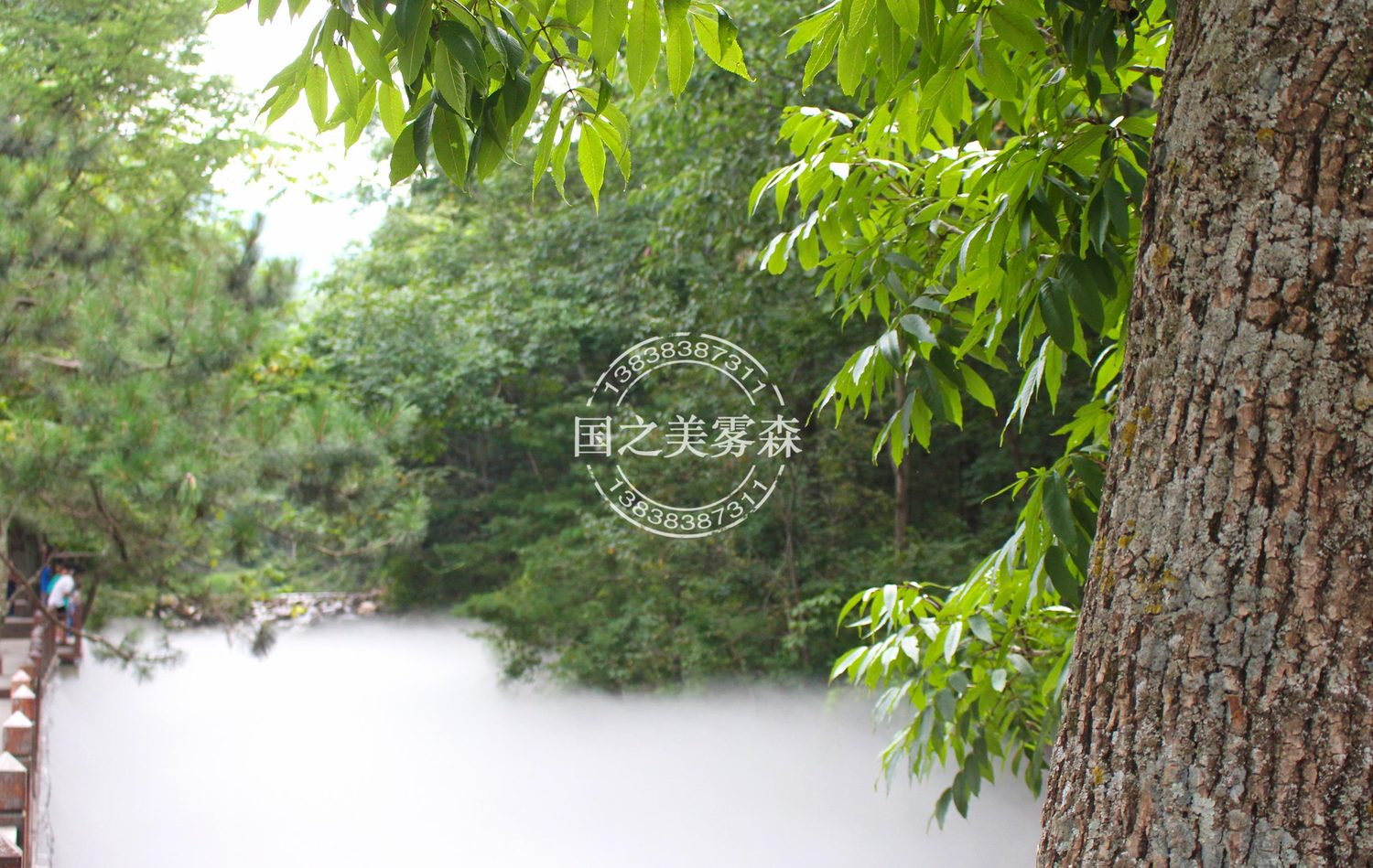 u=3396671108,115323465&fm=27&gp=0.jpg